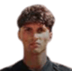 image-q69zrnle9km0vee